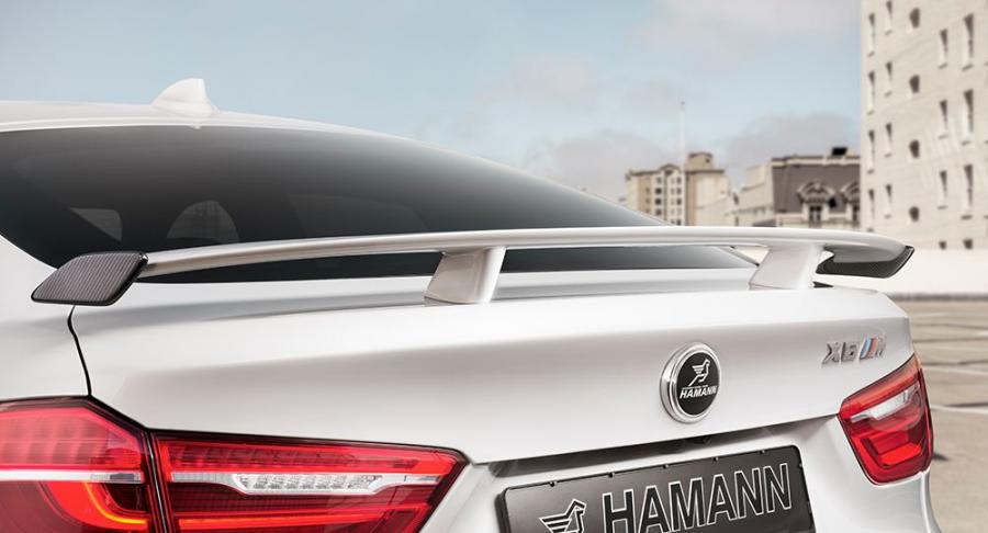  BMW X6 M Widebody by Hamann 2016 года  (фото 4 из 5)